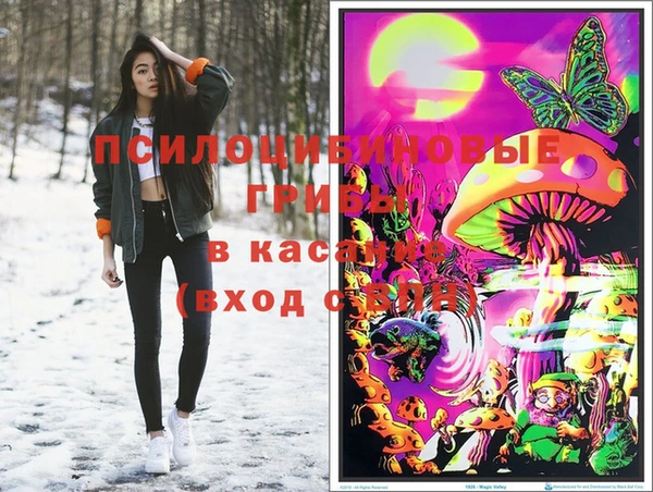 мяу мяу кристалл Кущёвская