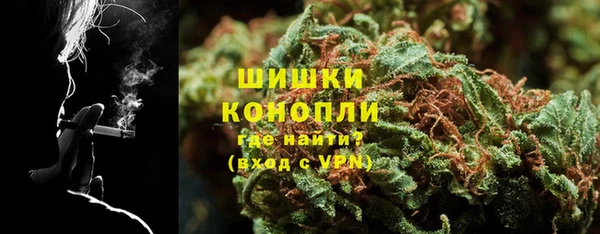 гашик Нея