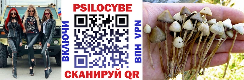 Псилоцибиновые грибы Magic Shrooms  hydra ТОР  Калачинск 